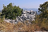 1184 Kamenná mohyla na prvom vrchole
