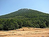 1184 Mount Dajti